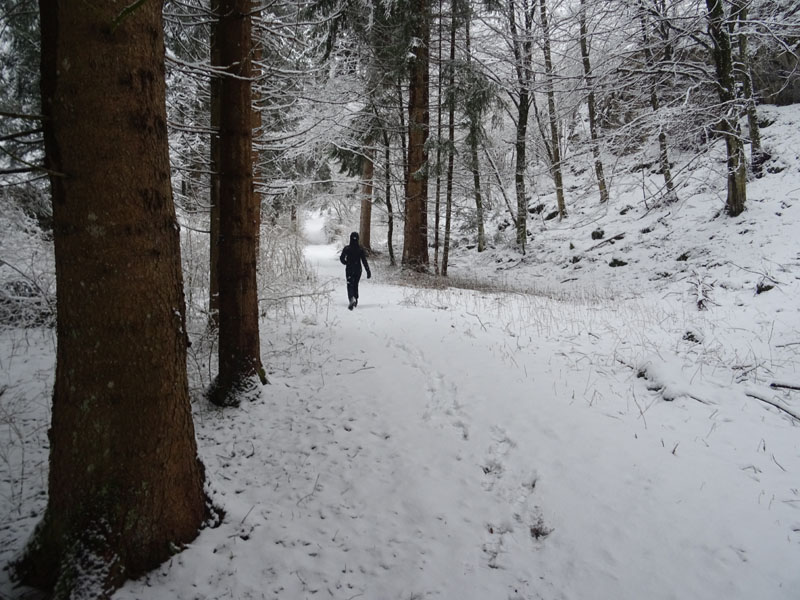 breve passeggiata tra la neve fresca di oggi.....